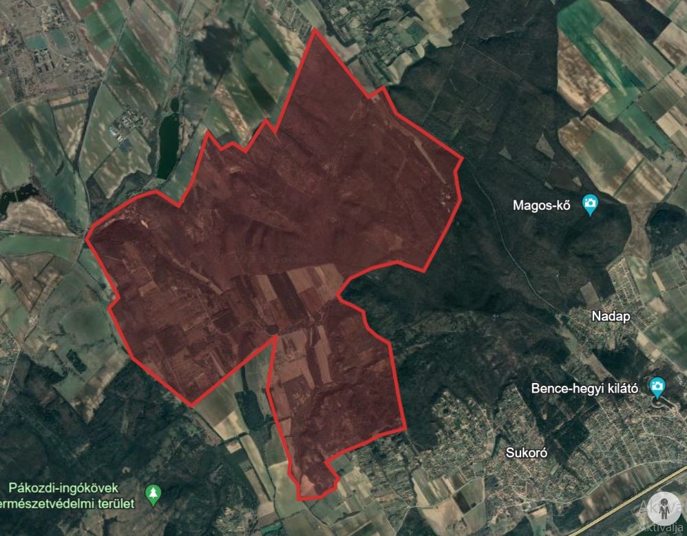 Erdőlátogatási korlátozás erdo