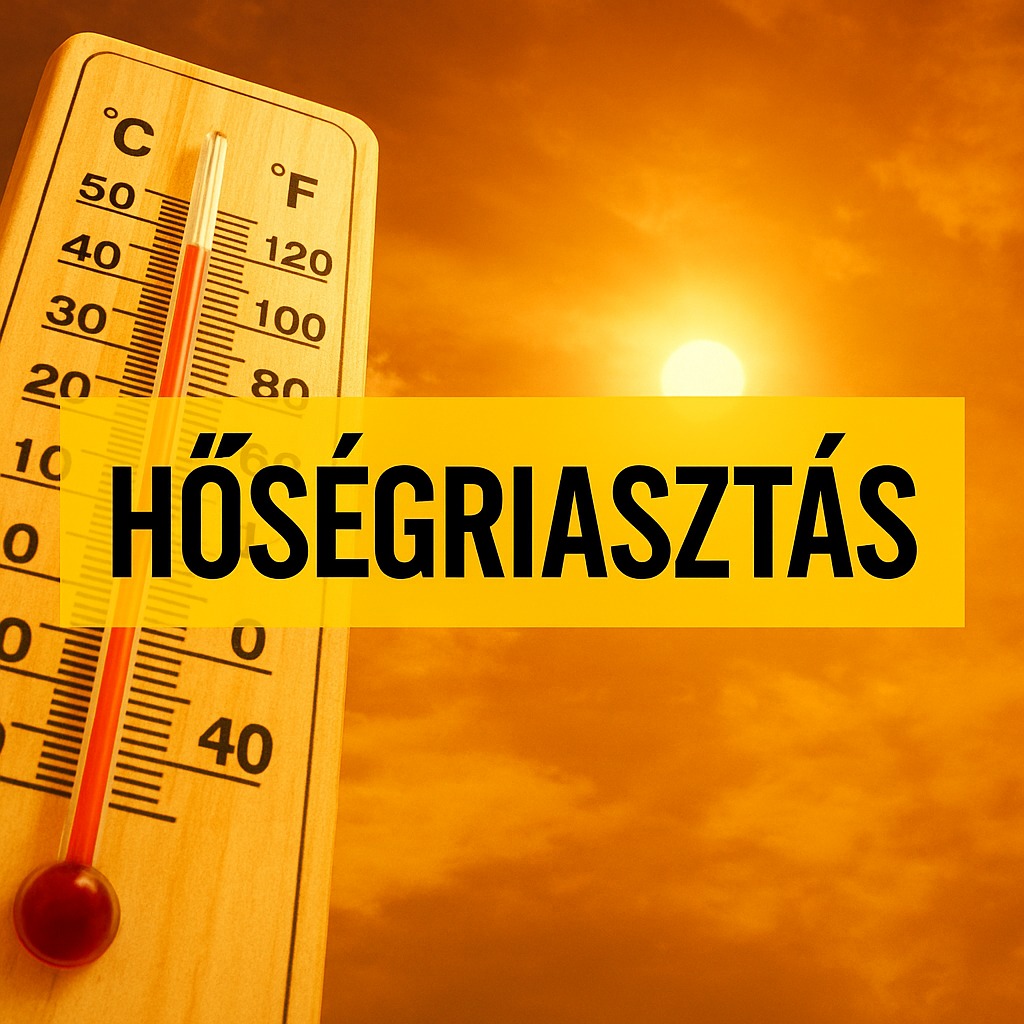 hoseg